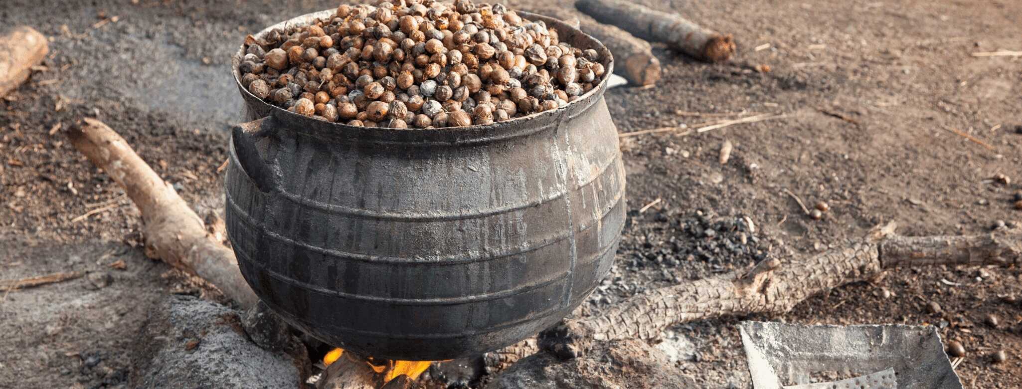 Sběr a zpracování ořechů Máslovníku afrického. Tradiční výroba bambuckého másla. Původ bambuckého másla. 